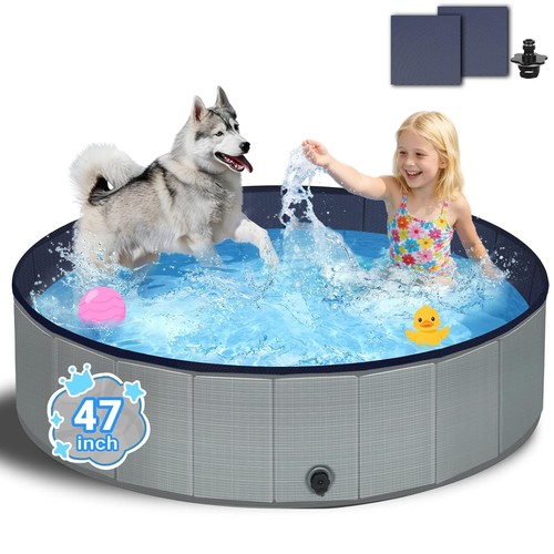 Gray dog kiddie pool - dog,