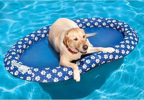 Swimways paddle paws dog pool - paws,