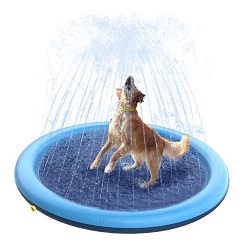 Splash pad for dogs kids - splash,