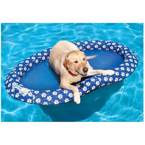 Foldable dog pool - dog,