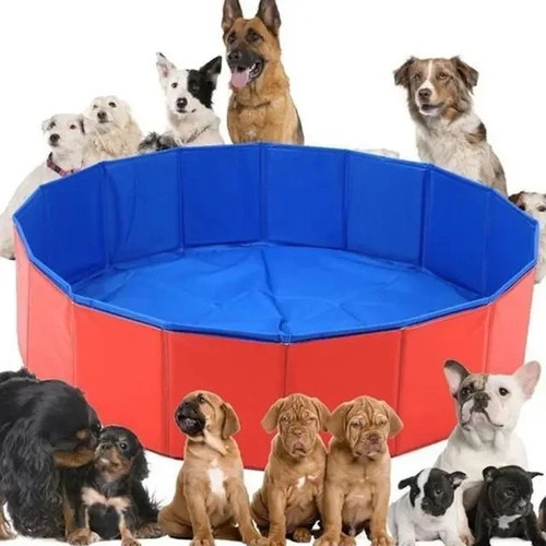 Large pet bath - xx-large, swimming