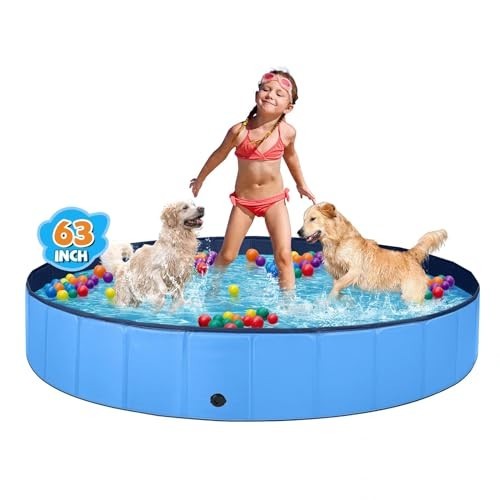 Dog pool for large dogs - pool, dogs,