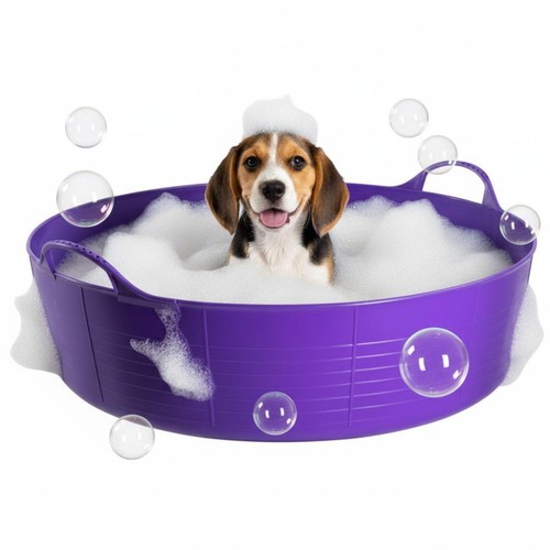 Purple dog bath - purple, paddling