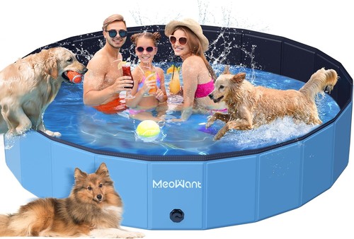 Foldable dog pool - dog,