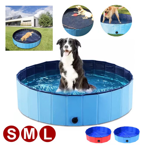 Pet swimming pool puppy dog - pool,