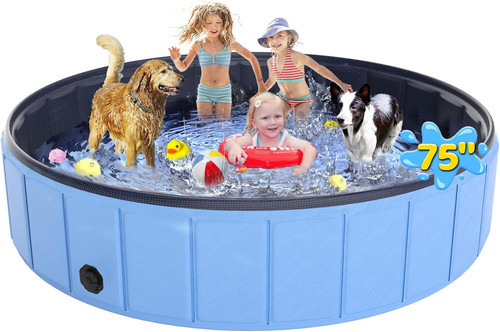 Dog pool - pool,,