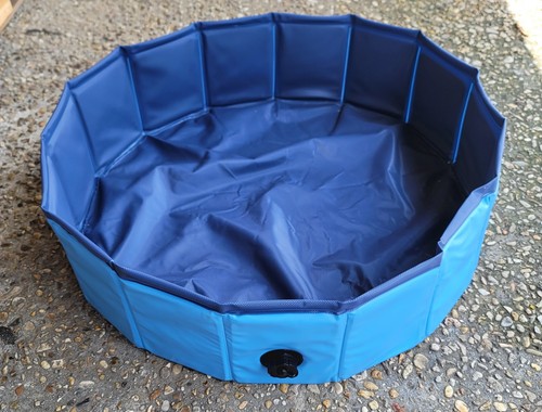 Frisco dog swimming - frisco,