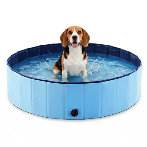 Foldable dog pool for - foldable,