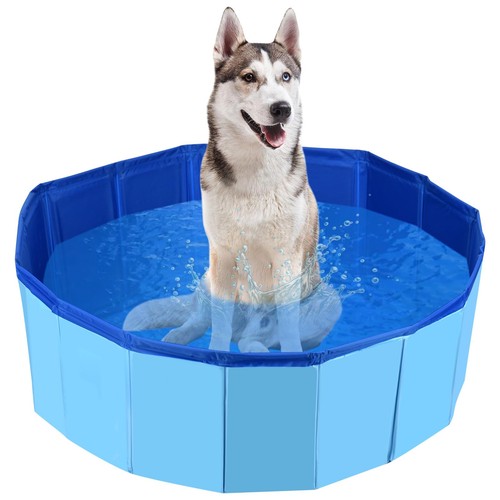 Duojin dog paddling - paddling, pool