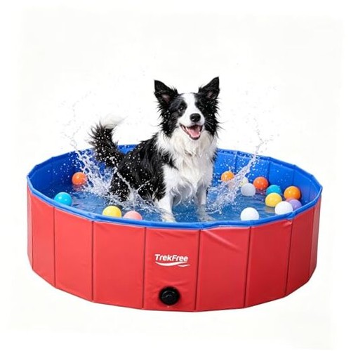 Foldable pet pool - pet, pool,