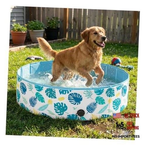 Dog pool for - for, large