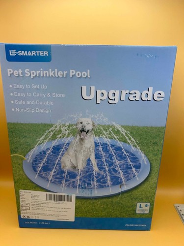 Dog sprinkler paddling - dog,