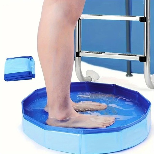 Pet bath dog swimming - pet,