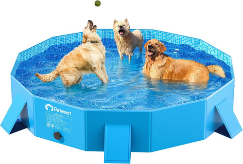 Dog pool for - for, dogs