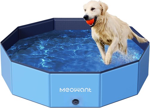 Foldable dog pool hard - dog, pool,